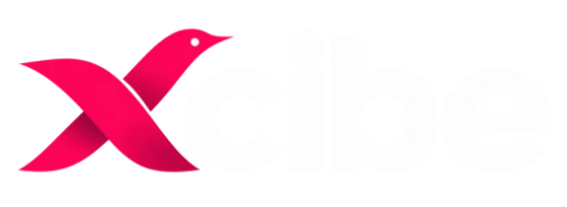 xcibe.com